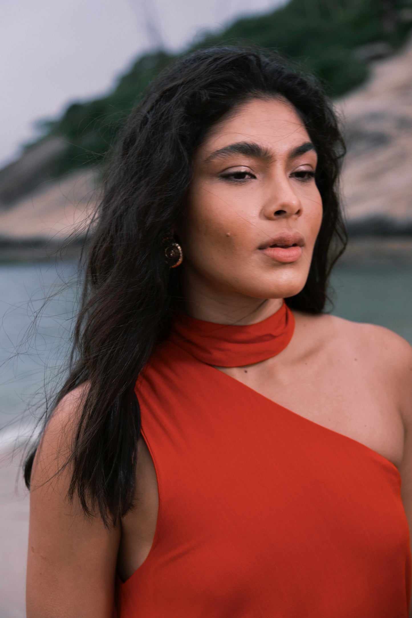 Vestido Isla Gola Removível Vermelho